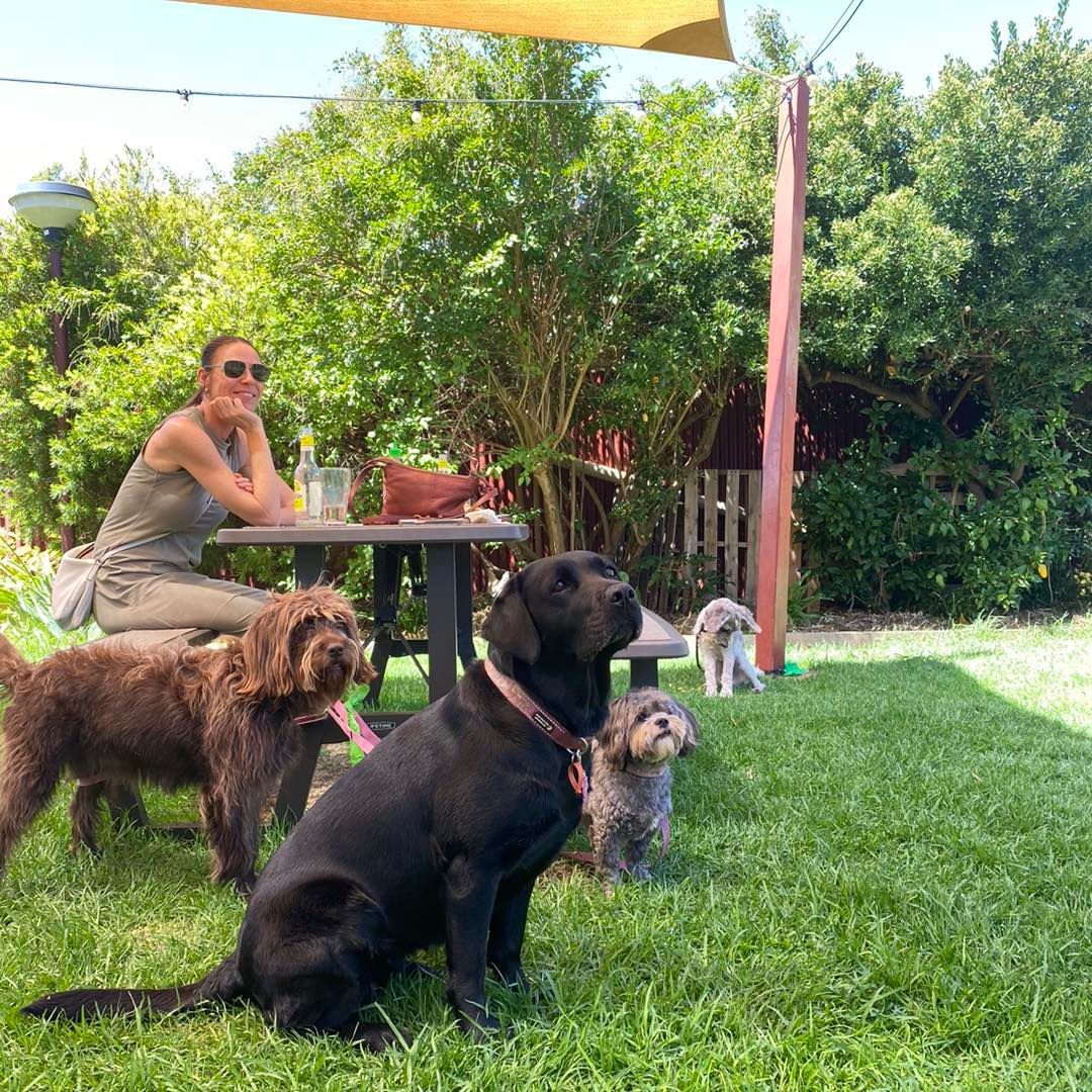 Woman sits at a table outdoors with four dogs on a grassy area.