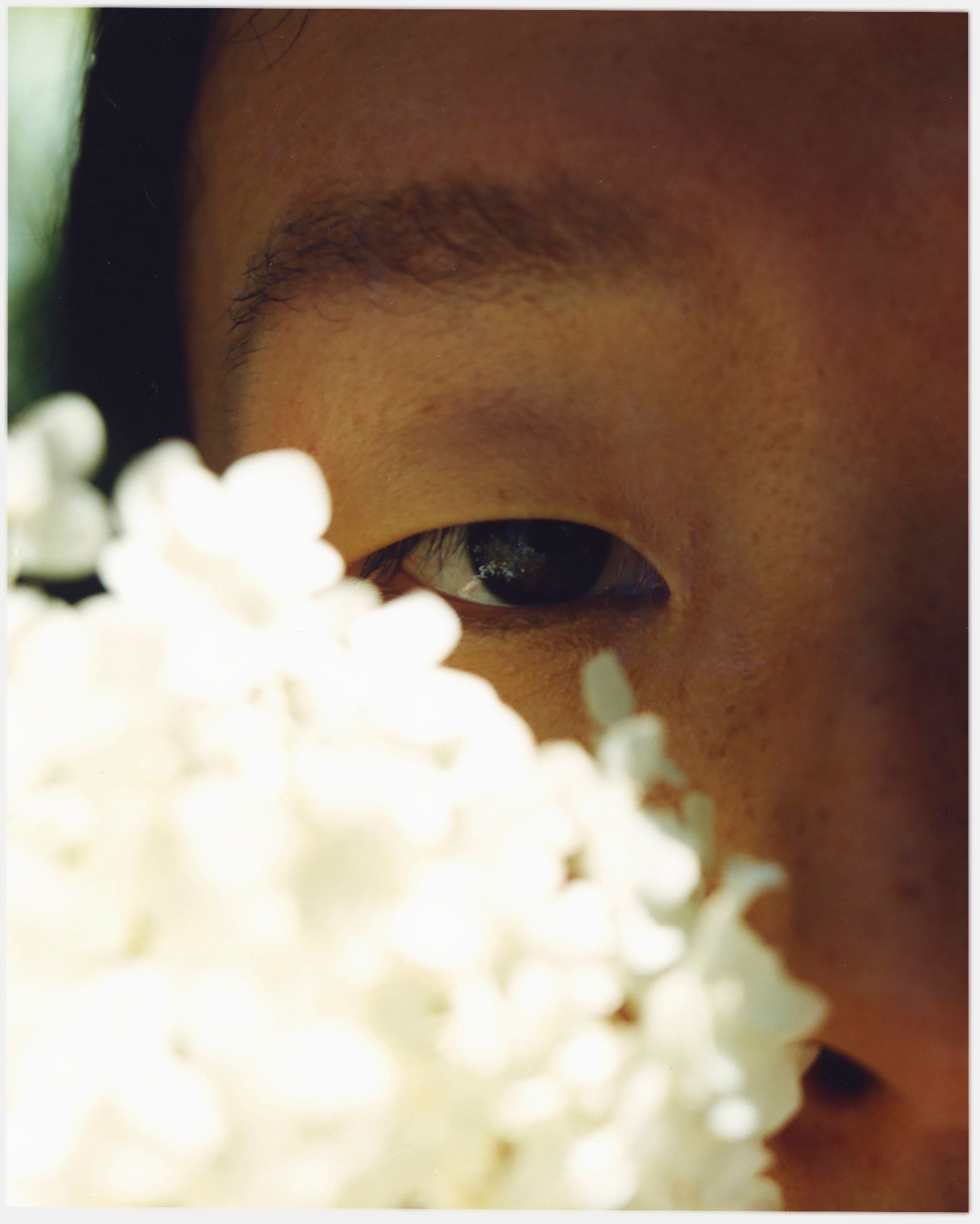 Nahaufnahme des Auges einer Person, das durch weiße Blumen späht; sonniges, natürliches Licht.