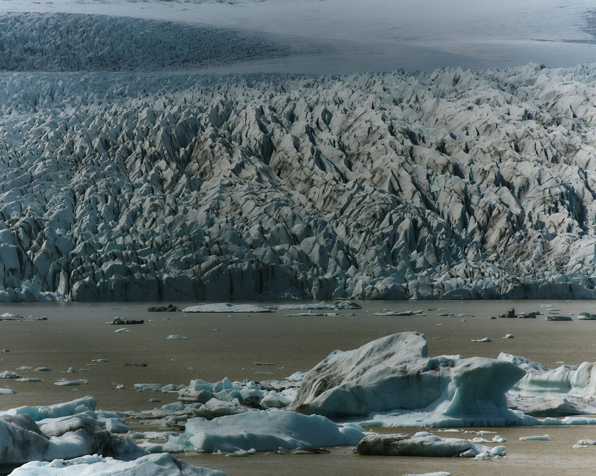 Gletscherfront trifft auf Wasser, mit schwimmenden Eisbergen.