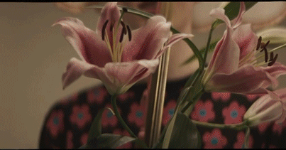 Rosa Lilien im Vordergrund; Person mit einem Pullover mit Blumenmuster im Hintergrund, Innenaufnahme.