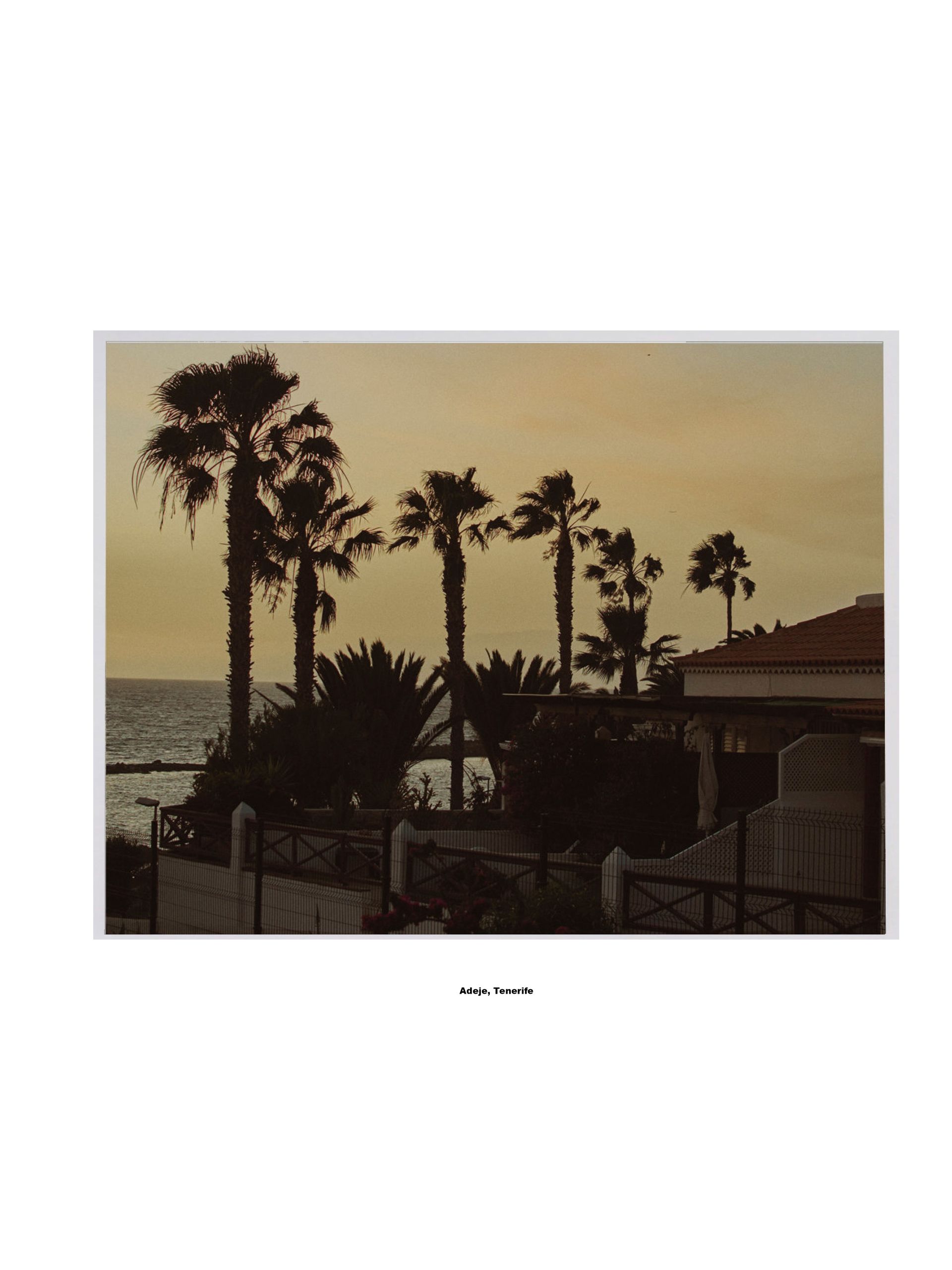 Silhouetten von Palmen und Vegetation vor einem gedämpften Sonnenuntergangshimmel, in der Nähe eines Gebäudes und des Meeres.