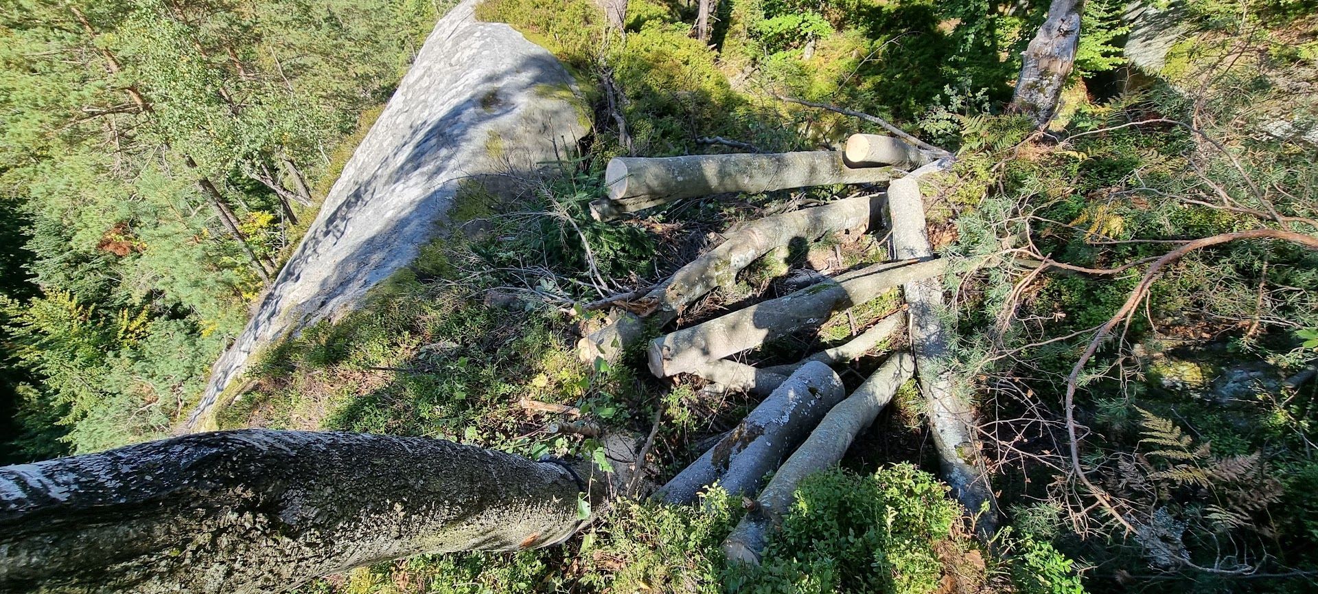 GSF- Ukraine - Carpates -équipement falaise-arbre
