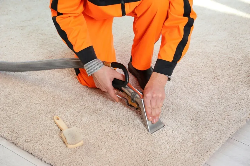 A person is cleaning a carpet with a vacuum cleaner.