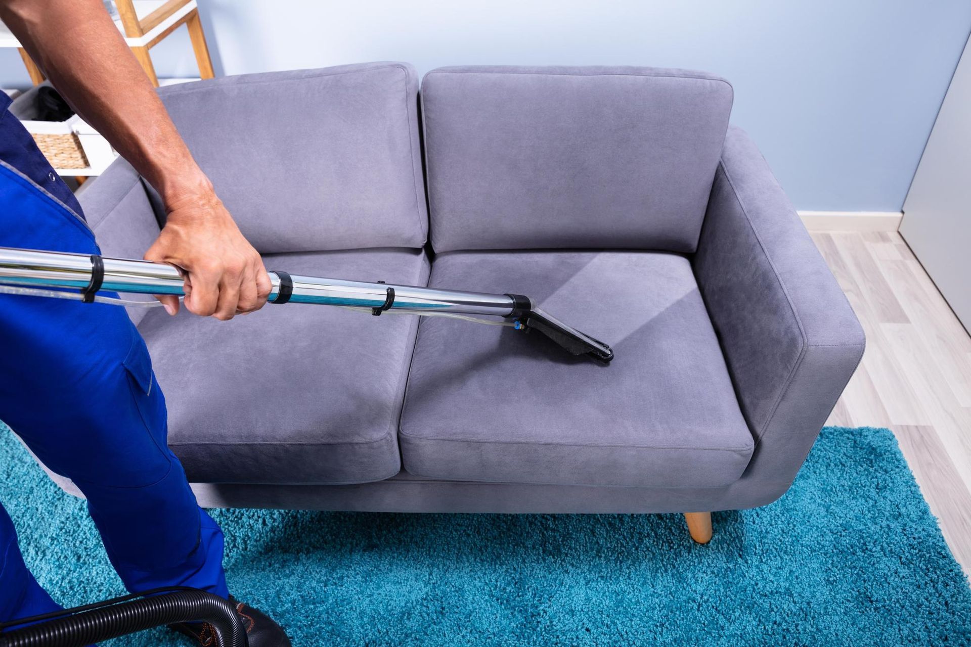 sofa cleaning bellevue