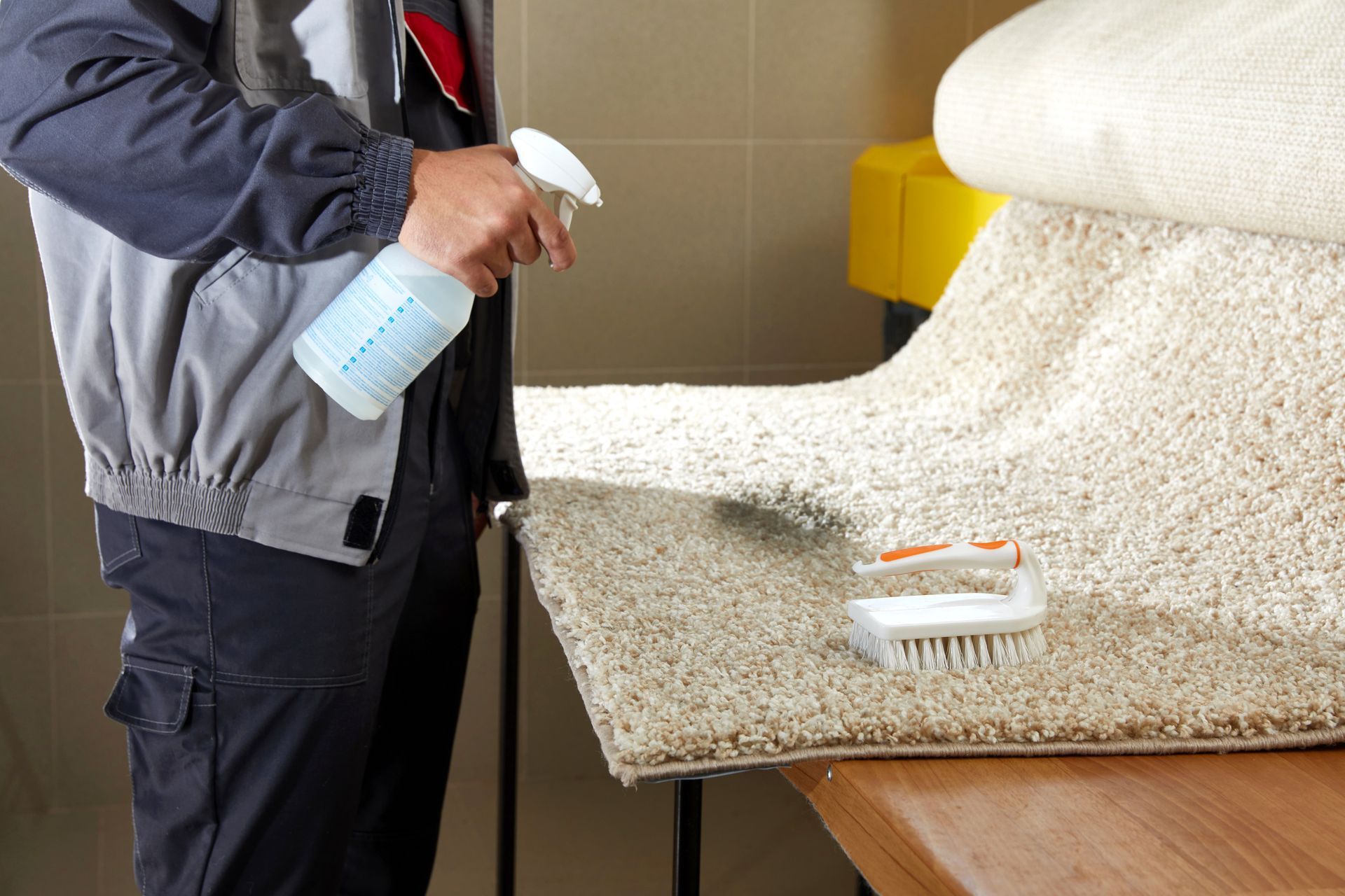 Carpet Spot Cleaning Bennington NE