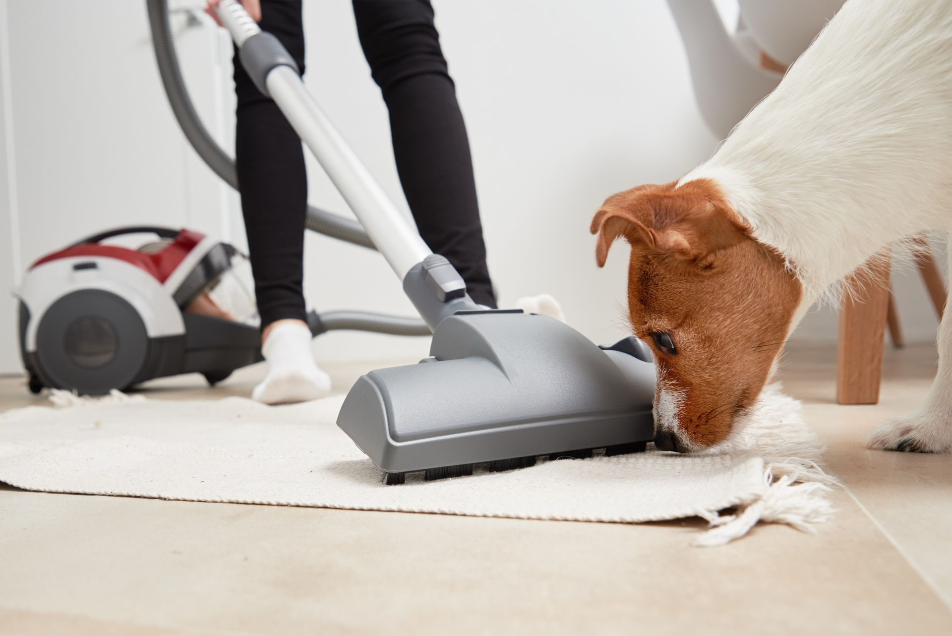 carpet cleaning