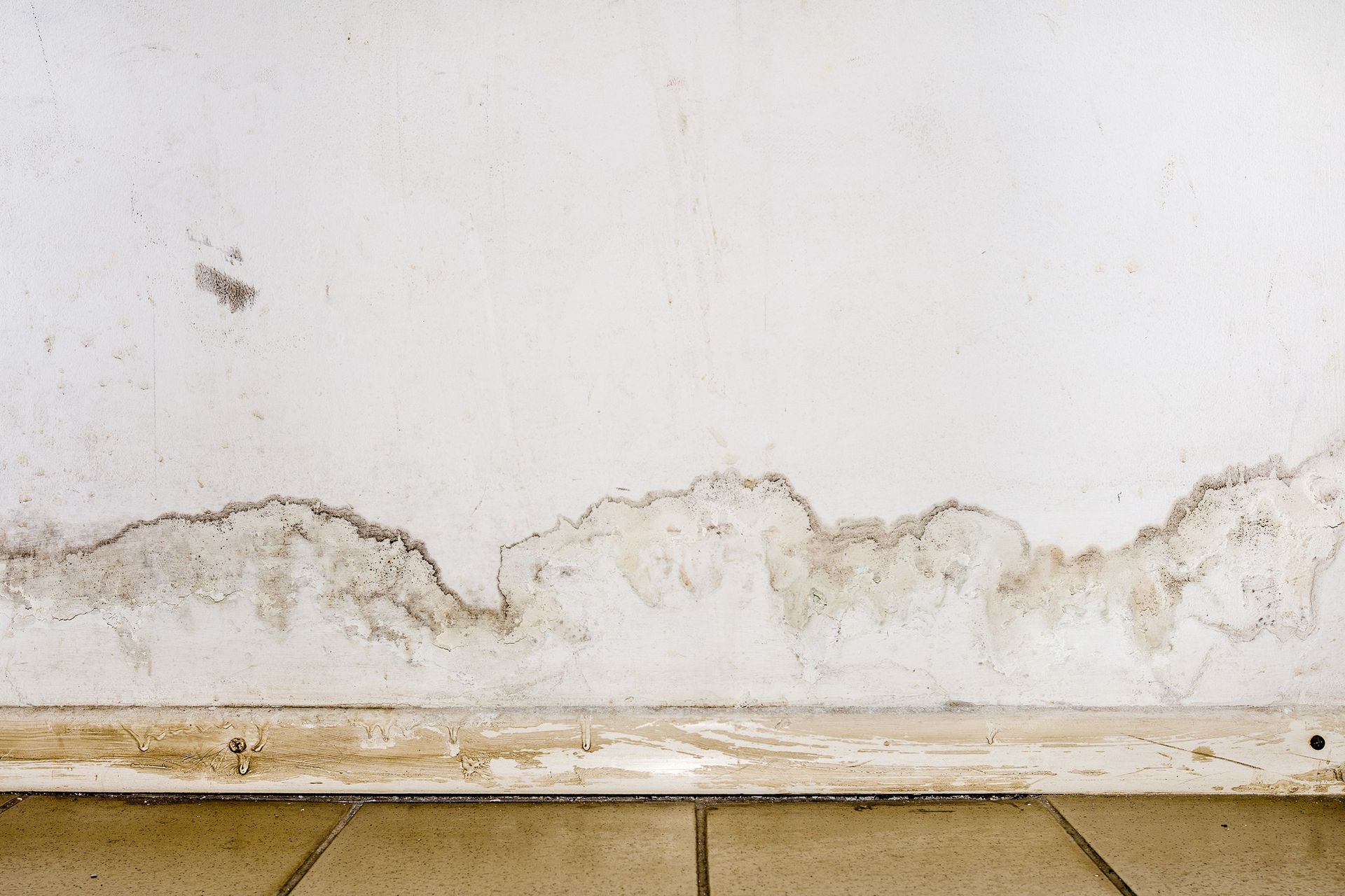 Water Damage Restoration in Wahoo
