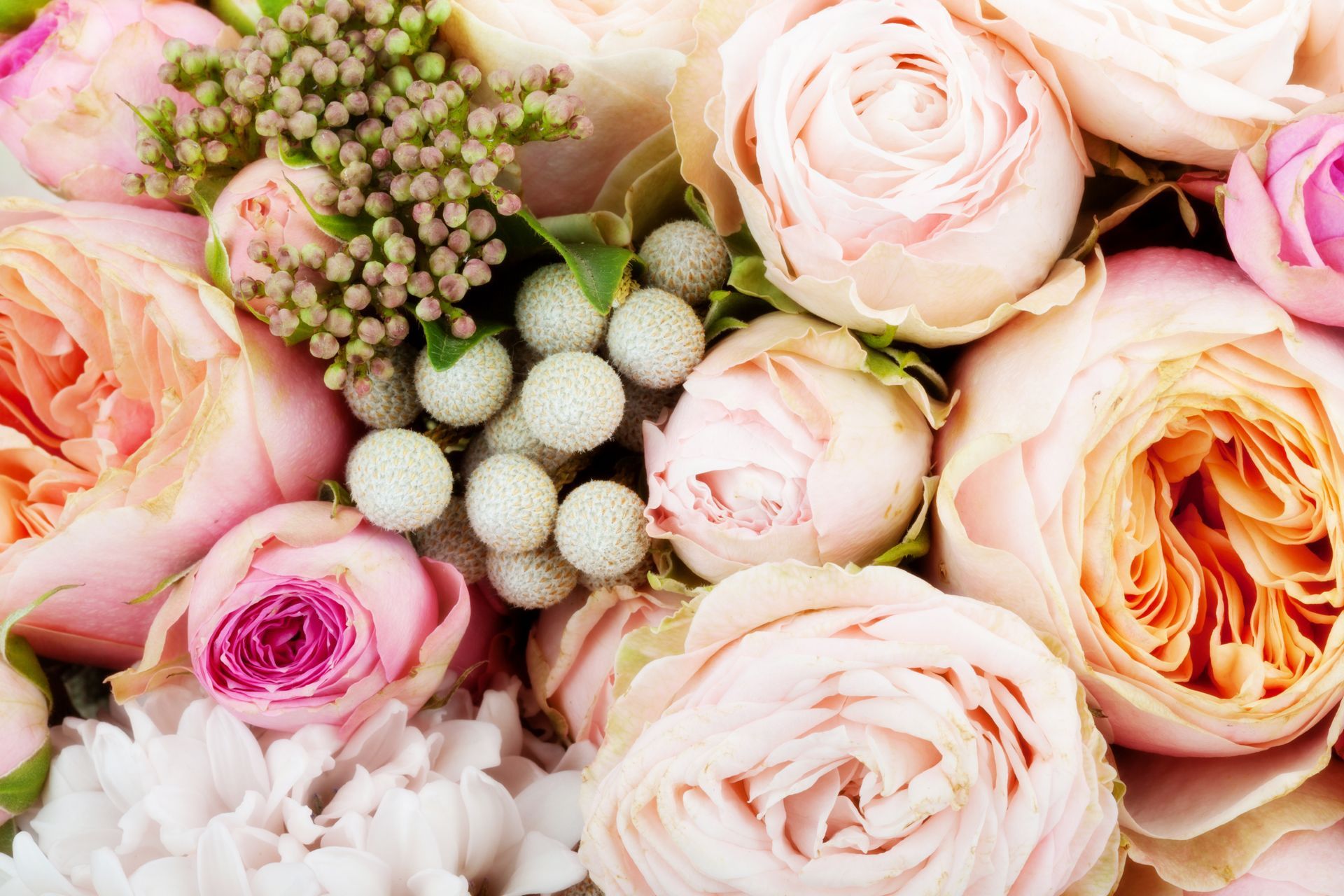 Close-up of a bouquet with pastel pink and peach roses, white chrysanthemums, and small, round, white accents.