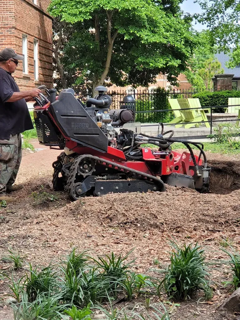 A man is cutting a tree with a chainsaw.