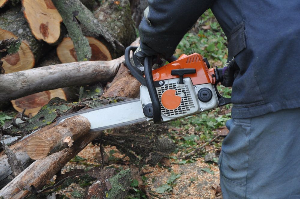 A Man Is Using a Chainsaw to Cut a Tree Branch — Boyne Island Tree Services in Calliope, QLD