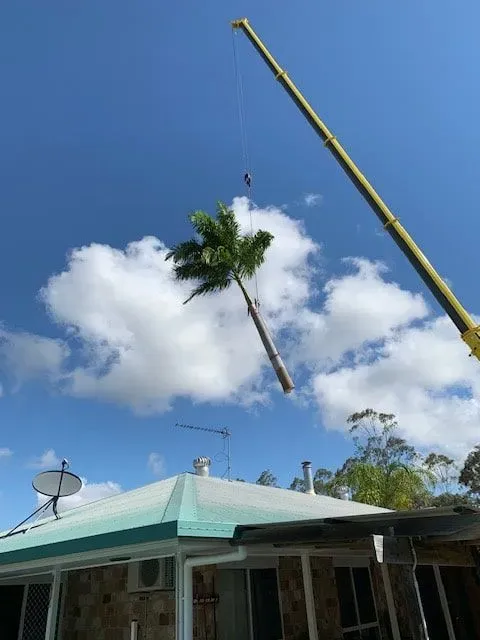 A Yellow Stump Grinder Is Cutting a Tree Stump in The Grass — Boyne Island Tree Services in Boyne Island, QLD