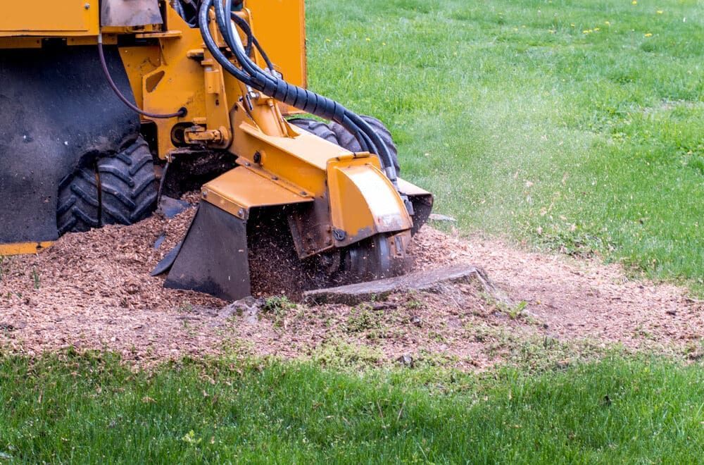 A Yellow Stump Grinder Is Cutting a Tree Stump in A Lush Green Field — Boyne Island Tree Services in Seventeen Seventy, QLD