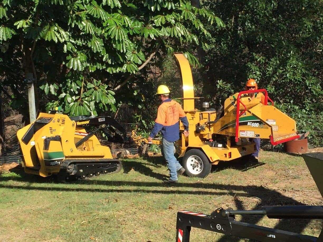 A Man Is Standing Next to A Machine that Is Cutting Trees — Boyne Island Tree Services in Boyne Island, QLD
