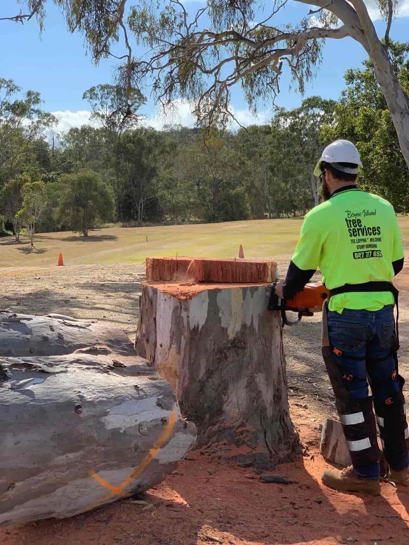 A Man Is Cutting a Tree Stump with A Chainsaw — Boyne Island Tree Services in Calliope, QLD