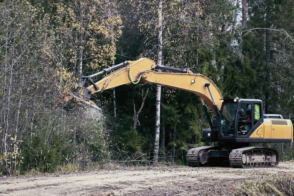 A Yellow Excavator Is Driving Down a Dirt Road in The Woods — Boyne Island Tree Services in Gladstone, QLD