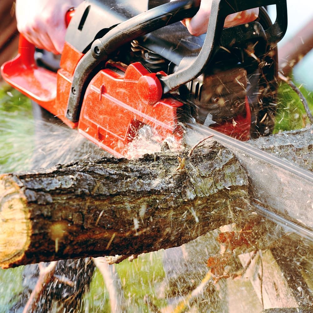 A Person Is Cutting a Log with A Chainsaw — Boyne Island Tree Services in Seventeen Seventy, QLD
