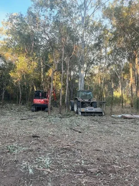 Two pieces of machinery clearing brush in a wooded area; red mini excavator and green tractor — Boyne Island Tree Services in Boyne Island, QLD