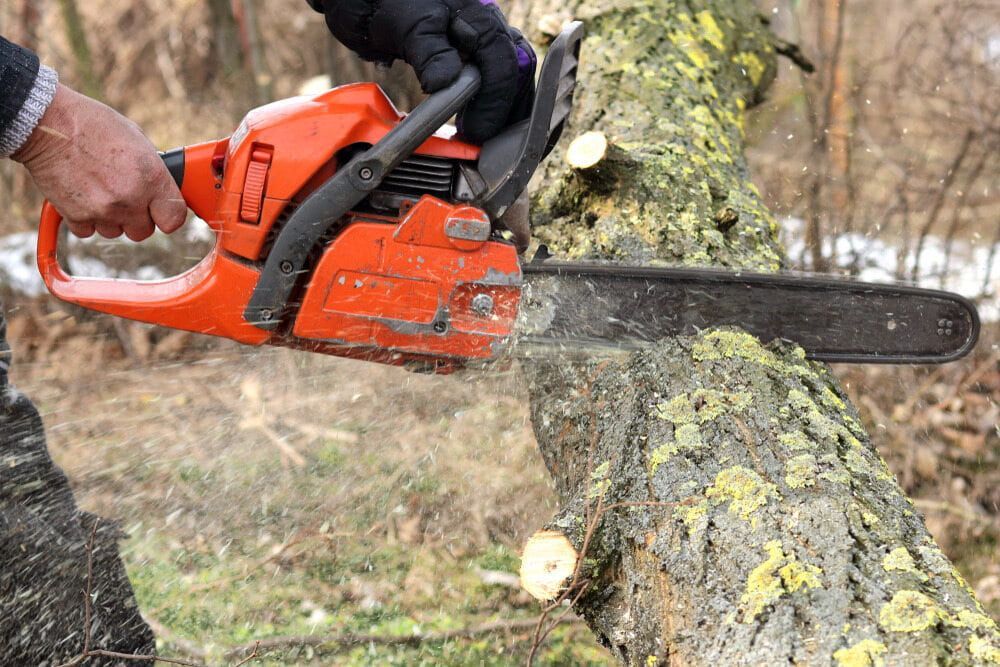 A Person Is Cutting a Tree with A Chainsaw — Boyne Island Tree Services in Calliope, QLD