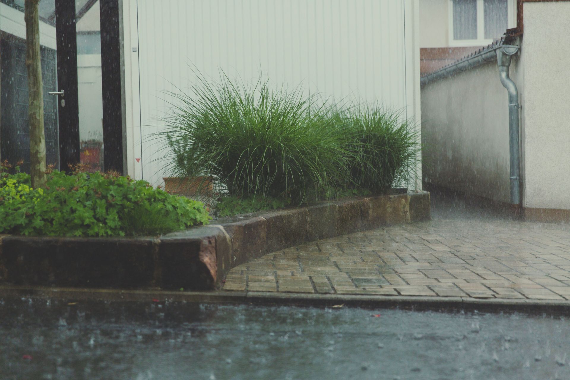 Heavy rain falling on paving and a planted garden border beside a house