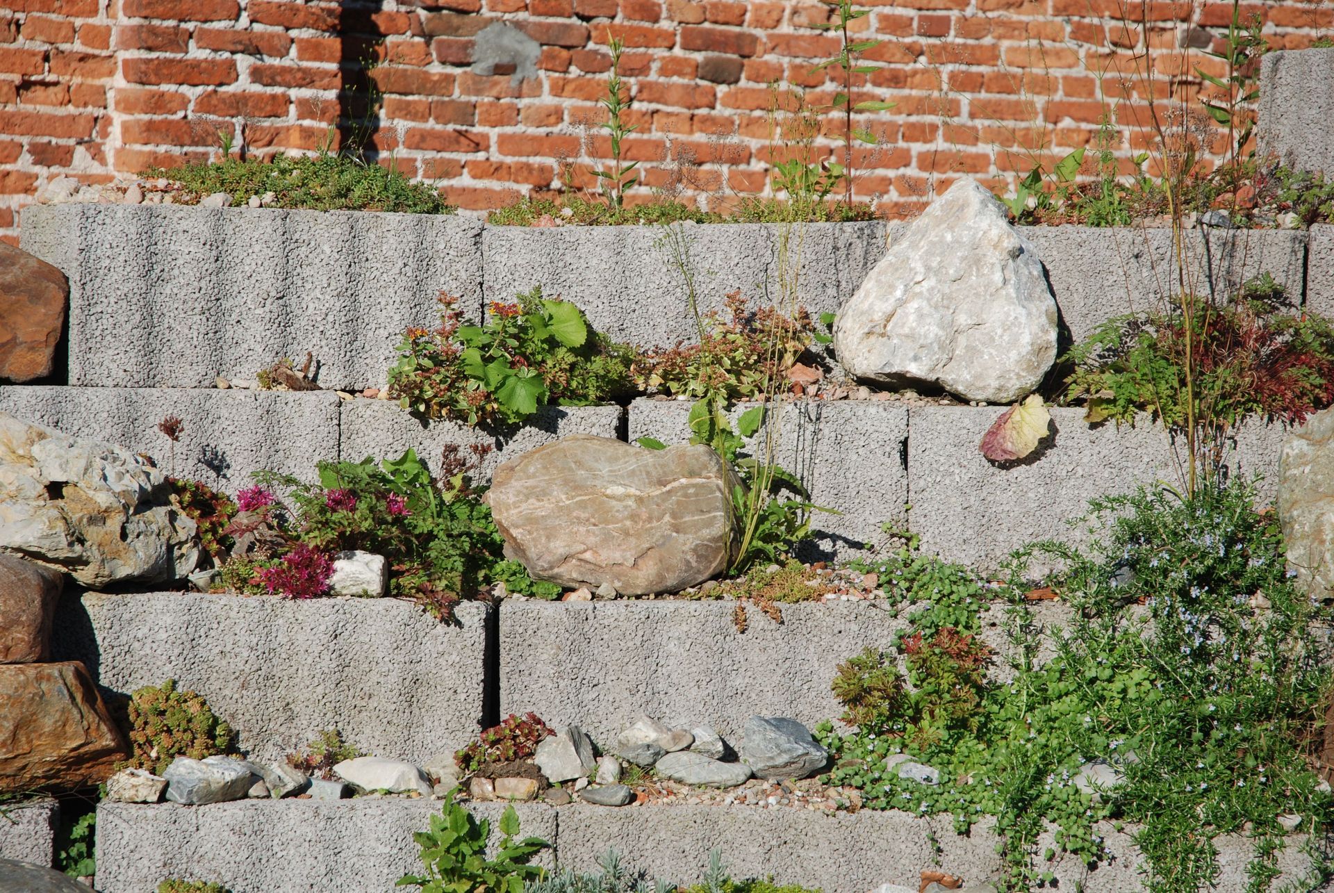 Stepped concrete retaining wall planted with alpines