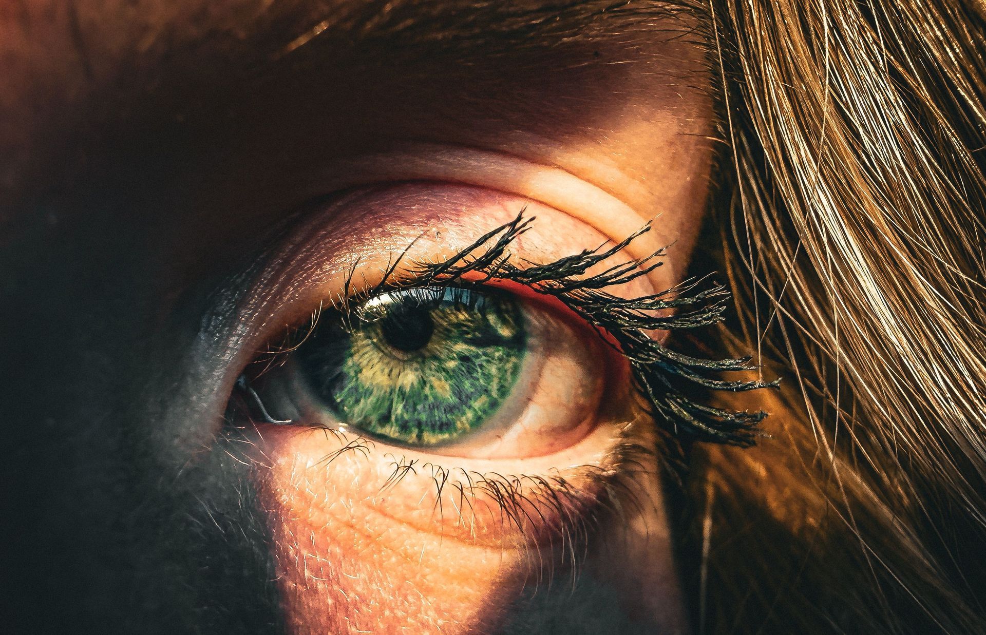 Close-up of an eye with natural upper and lower lashes