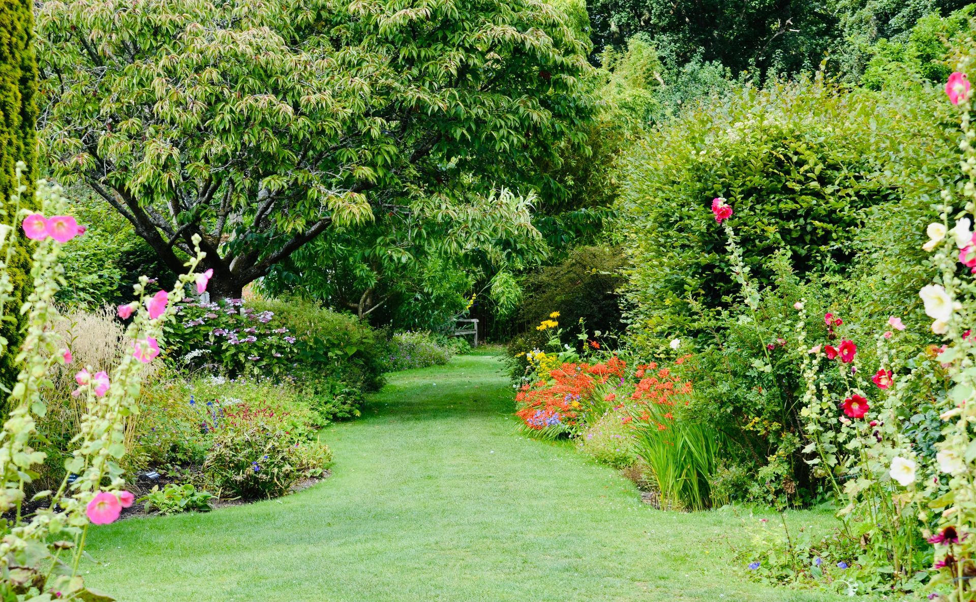Landscaped garden with a curving lawn and planted borders