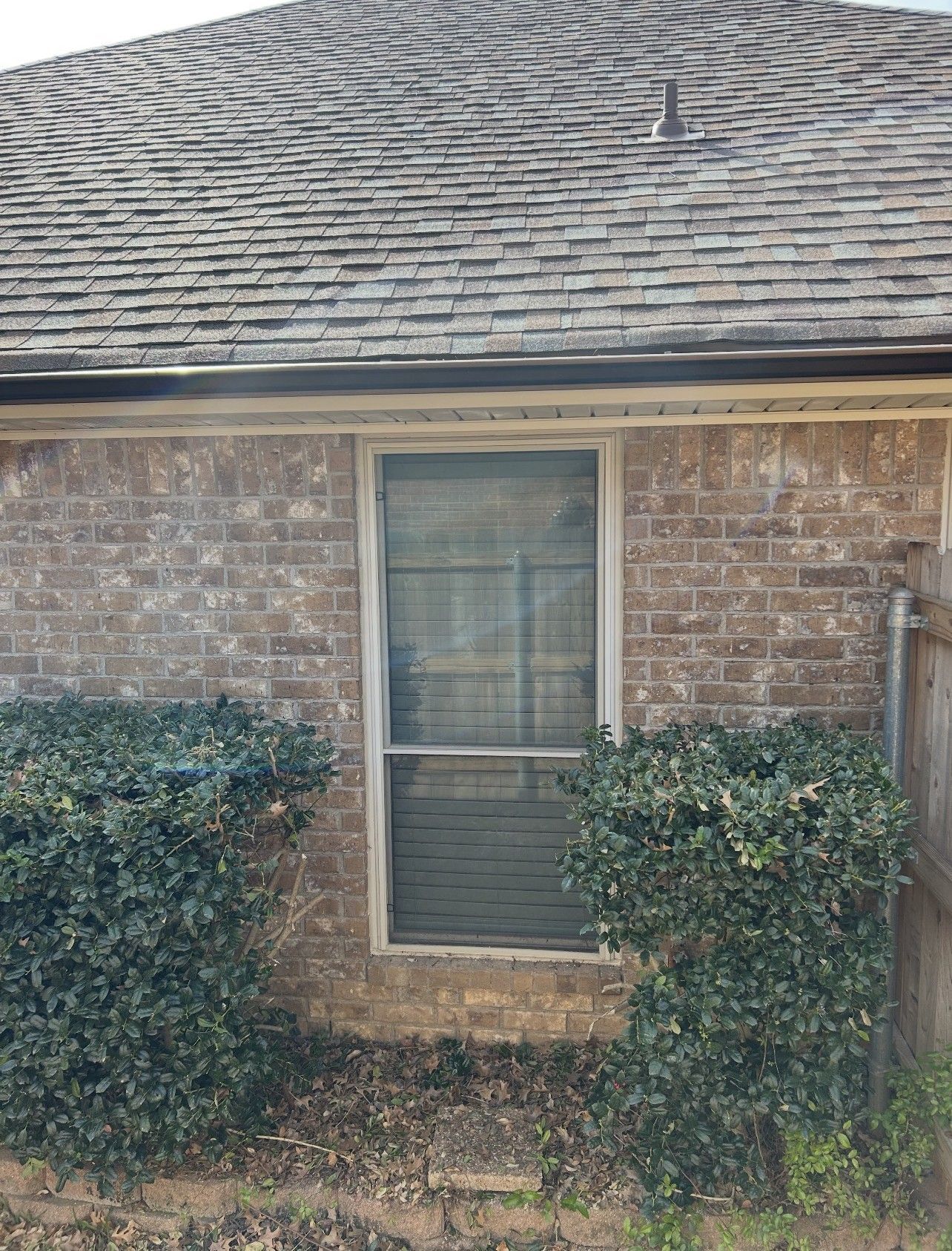 Brick house wall with a single window, topped by a shingled roof and partially covered by bushes.