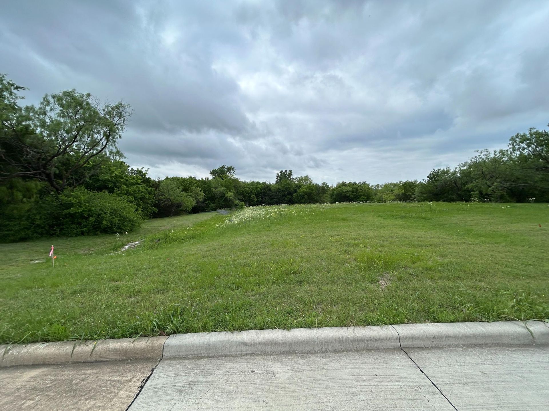 Grassy open field beside a curb under cloudy skies, with trees lining the horizon.