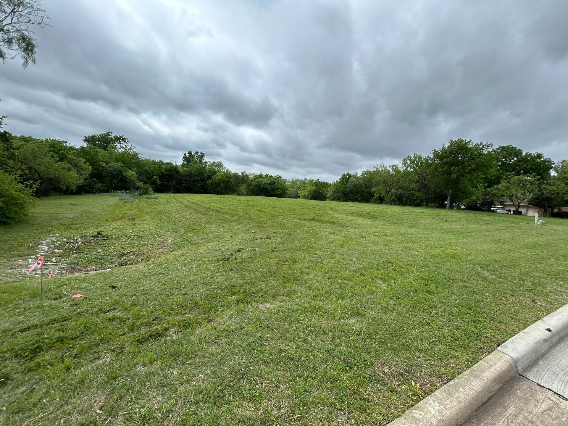 Grassy roadside field under cloudy sky with trees and a curb in the foreground