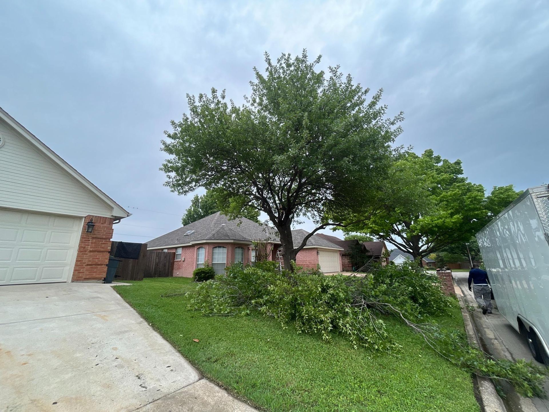 Suburban driveway and lawn with a large tree under a cloudy sky, beside houses and a parked car.