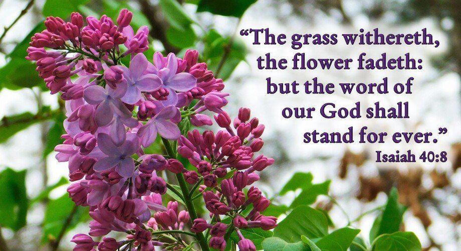 Spring Verse