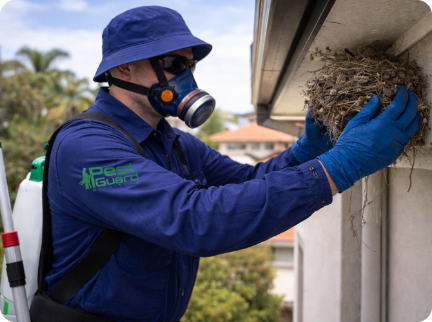 A pest control worker in a blue uniform, mask, and gloves removes a bird's nest from under a building's eave.