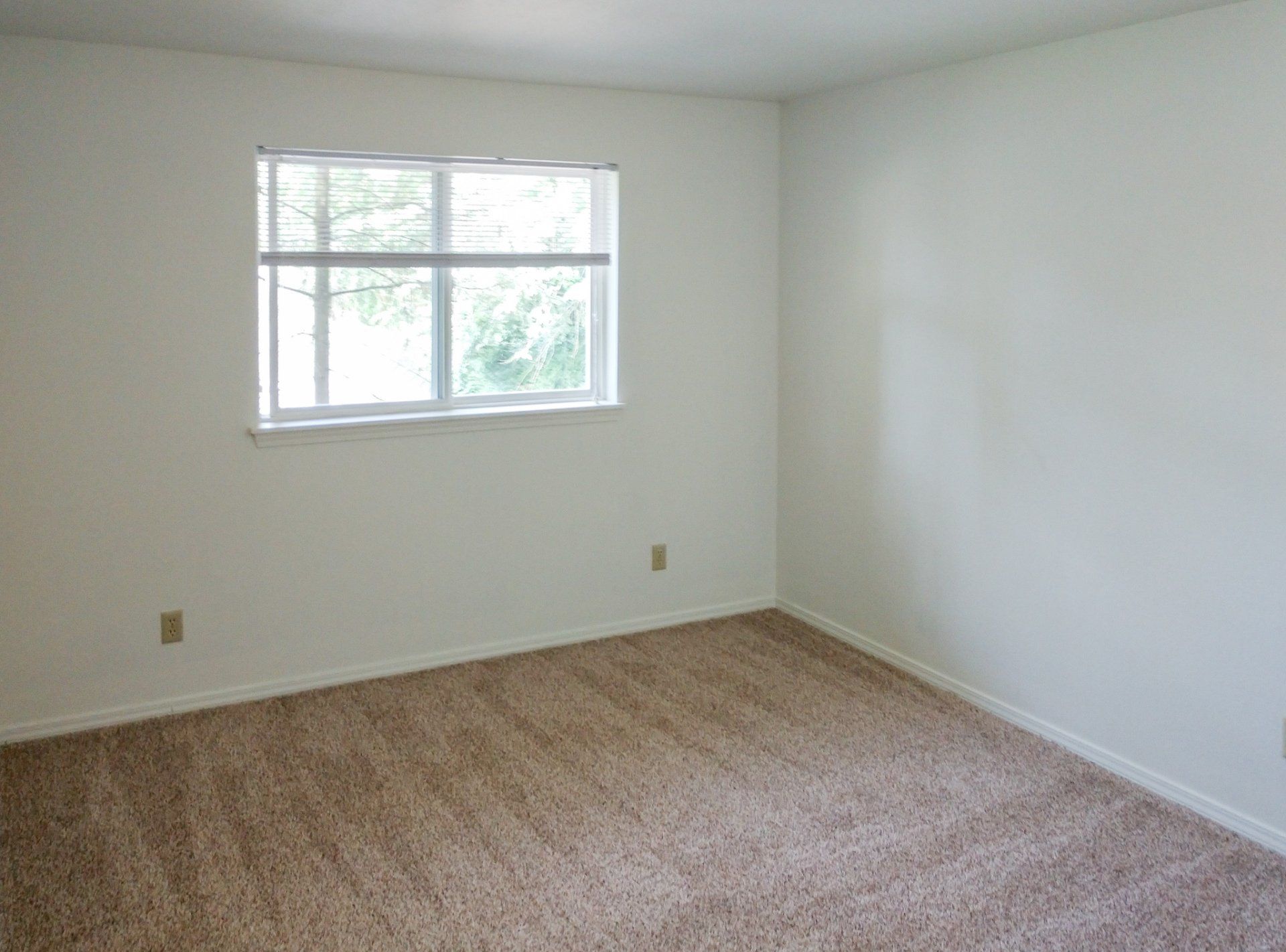An empty bedroom with a window and carpet.