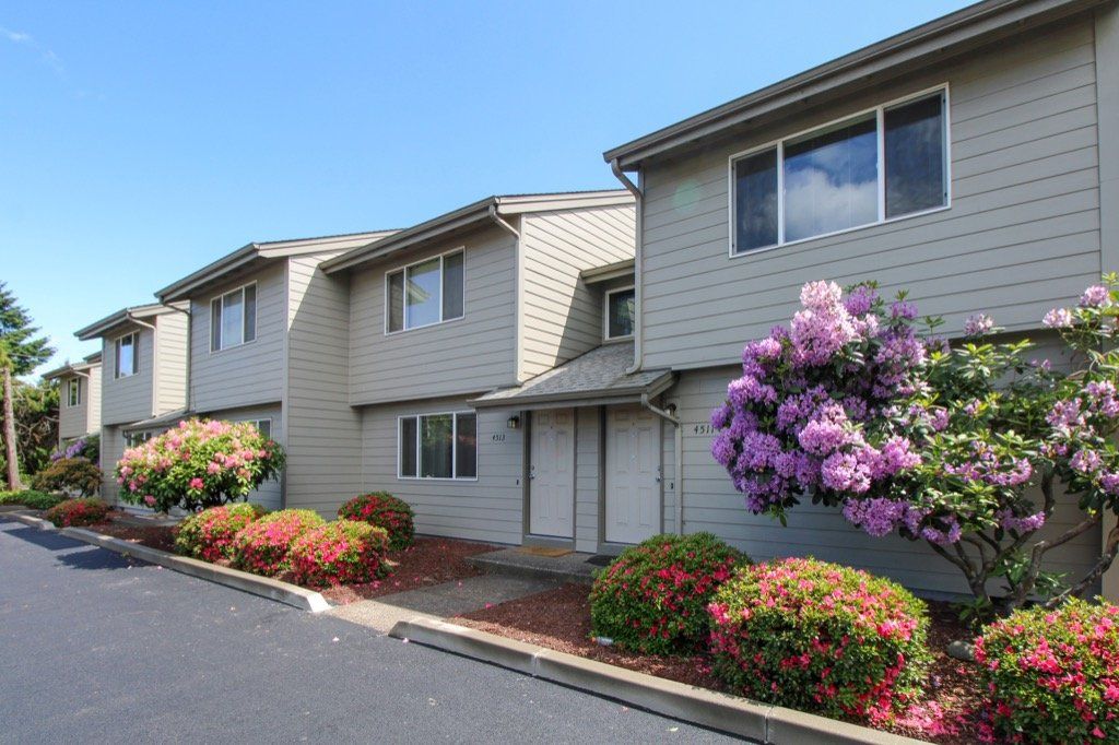 A row of apartment buildings with purple flowers in front of them