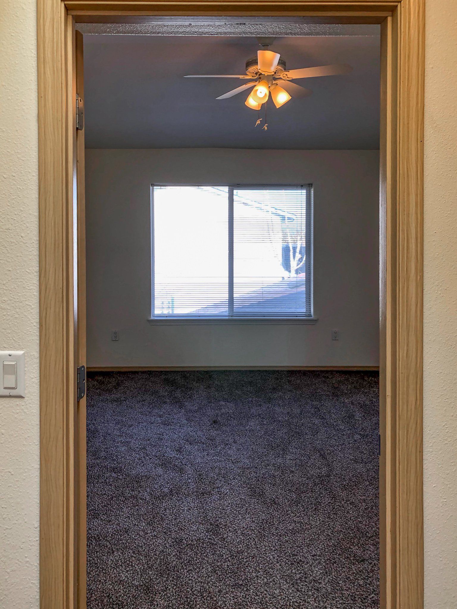 Amber Manor Interior Photos