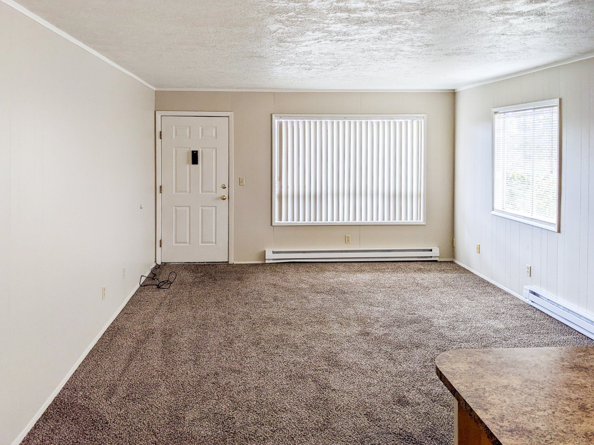 An empty living room with a carpeted floor and two windows.