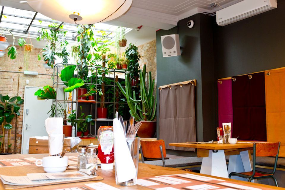 Cozy café interior with wooden tables, colorful curtains, and lush green indoor plants.