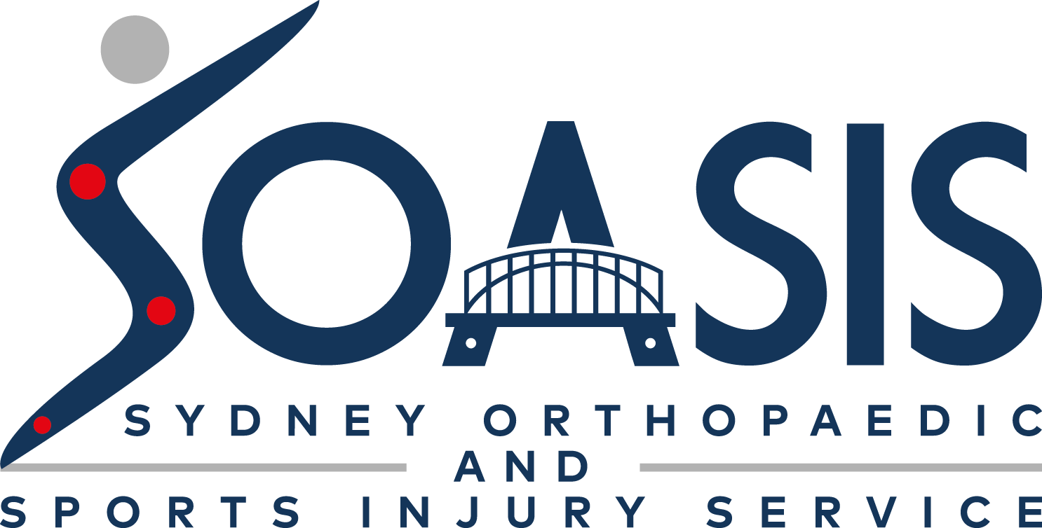 SOASIS Logo