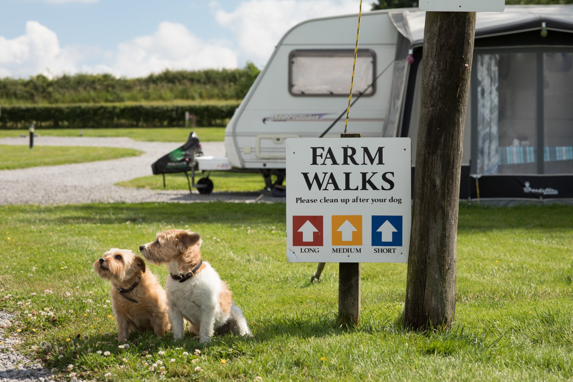 HOME Cliff Farm Holidays, Sinnington, North Yorkshire Caravan Park