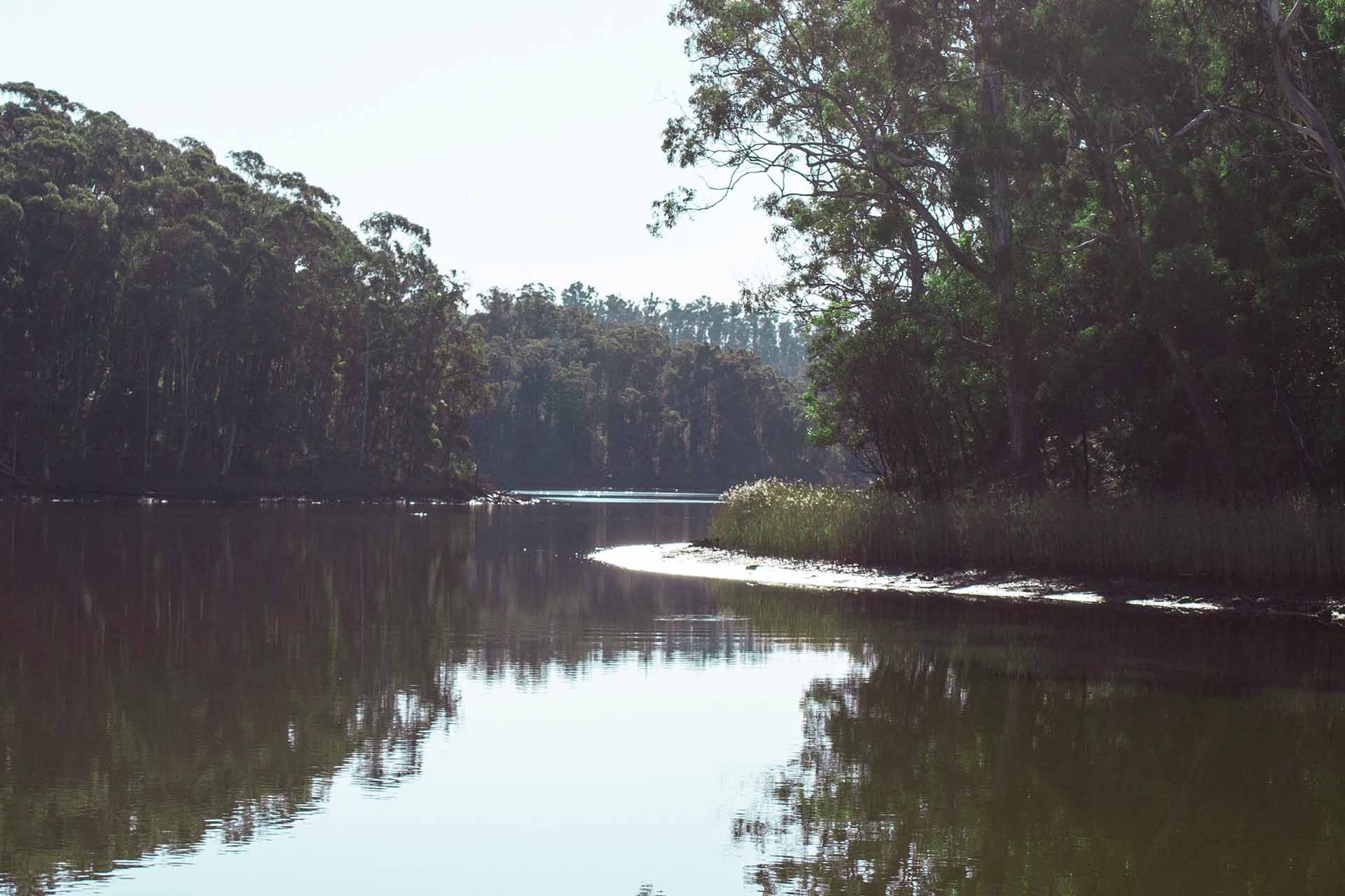The Destination Agency, Sapphire Coast - Cohen's Lake - Interpretive Signage Project