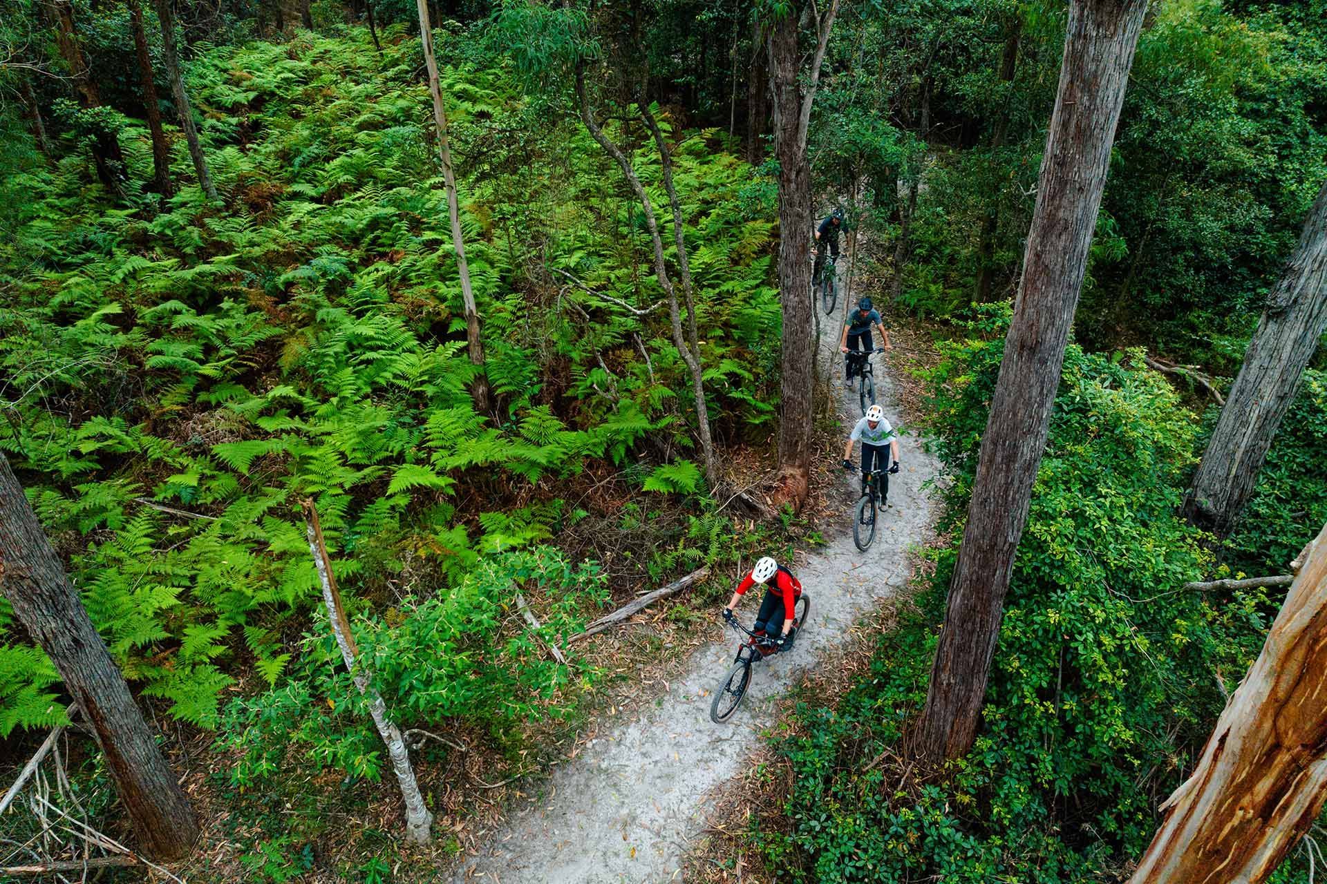The Destination Agency, Sapphire Coast - Gravity Eden MTB Park - Tourism Marketing Project