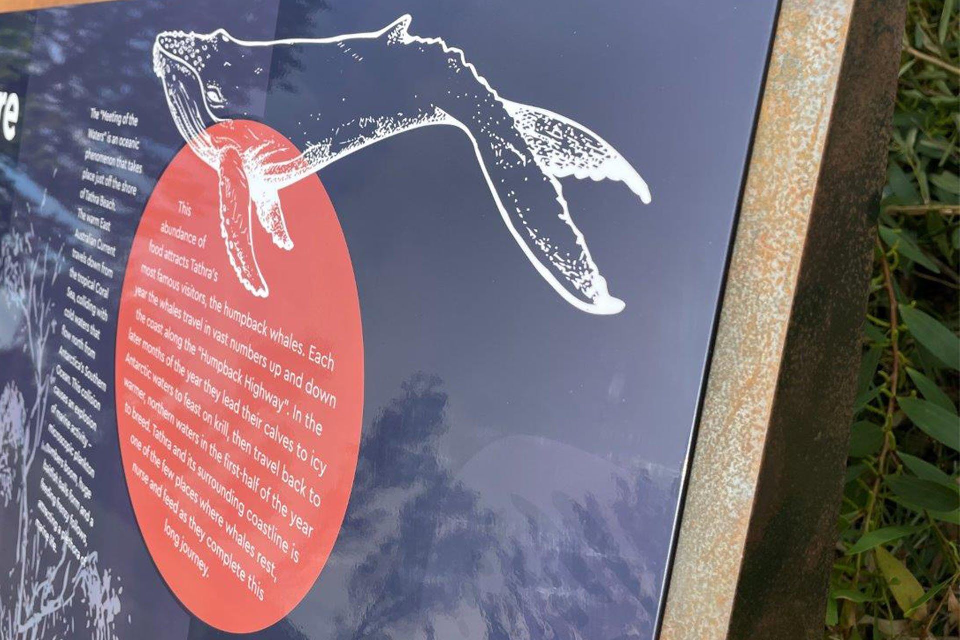 The Destination Agency, Sapphire Coast - Tathra Interpretive Project - Tourism Marketing Project