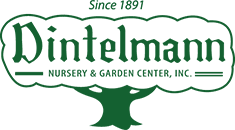 Dintelmann Nursery & Garden Center logo in green with “Since 1891” text