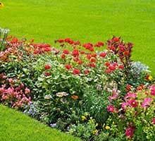 Colorful flower bed with red, pink, and white blooms in a green lawn