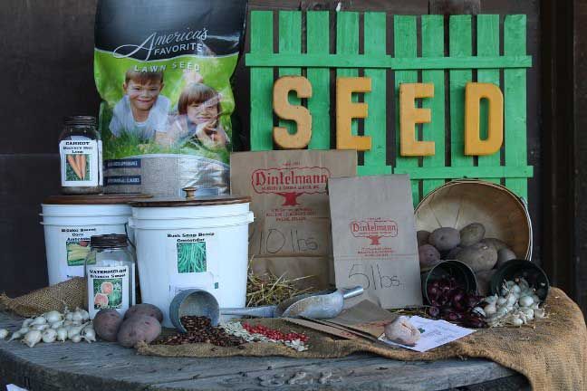 Garden seed display with green wooden crate spelling “SEED,” seed packets, buckets, and bulbs on a rustic table