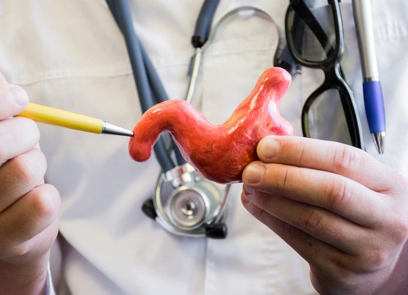 Doctor Holding A Liver For Demo — Chico, CA — Mangrove Medical Group