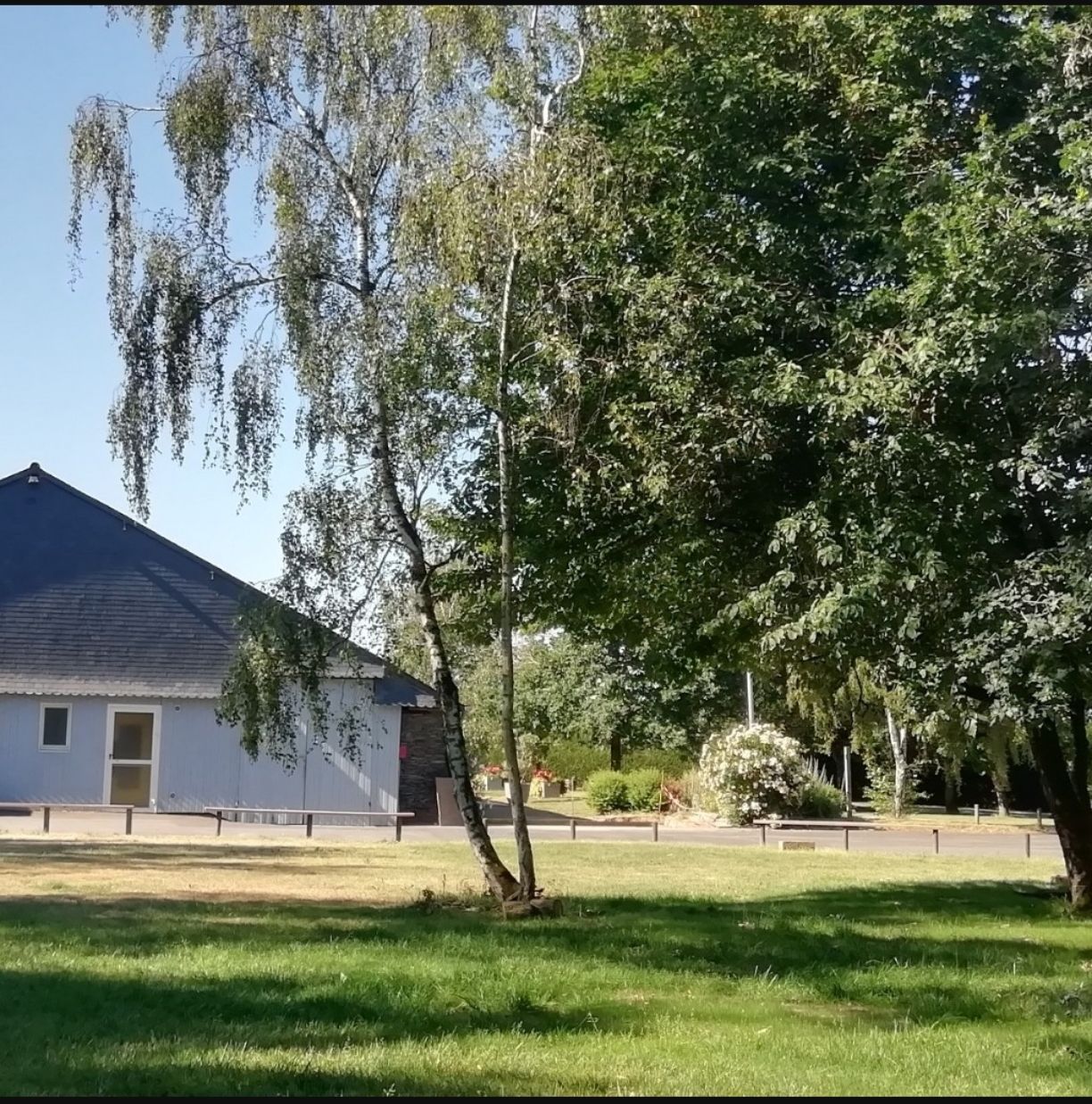Cour ensoleillée avec une maison blanche, une pelouse verte et de grands arbres qui projettent de l'ombre