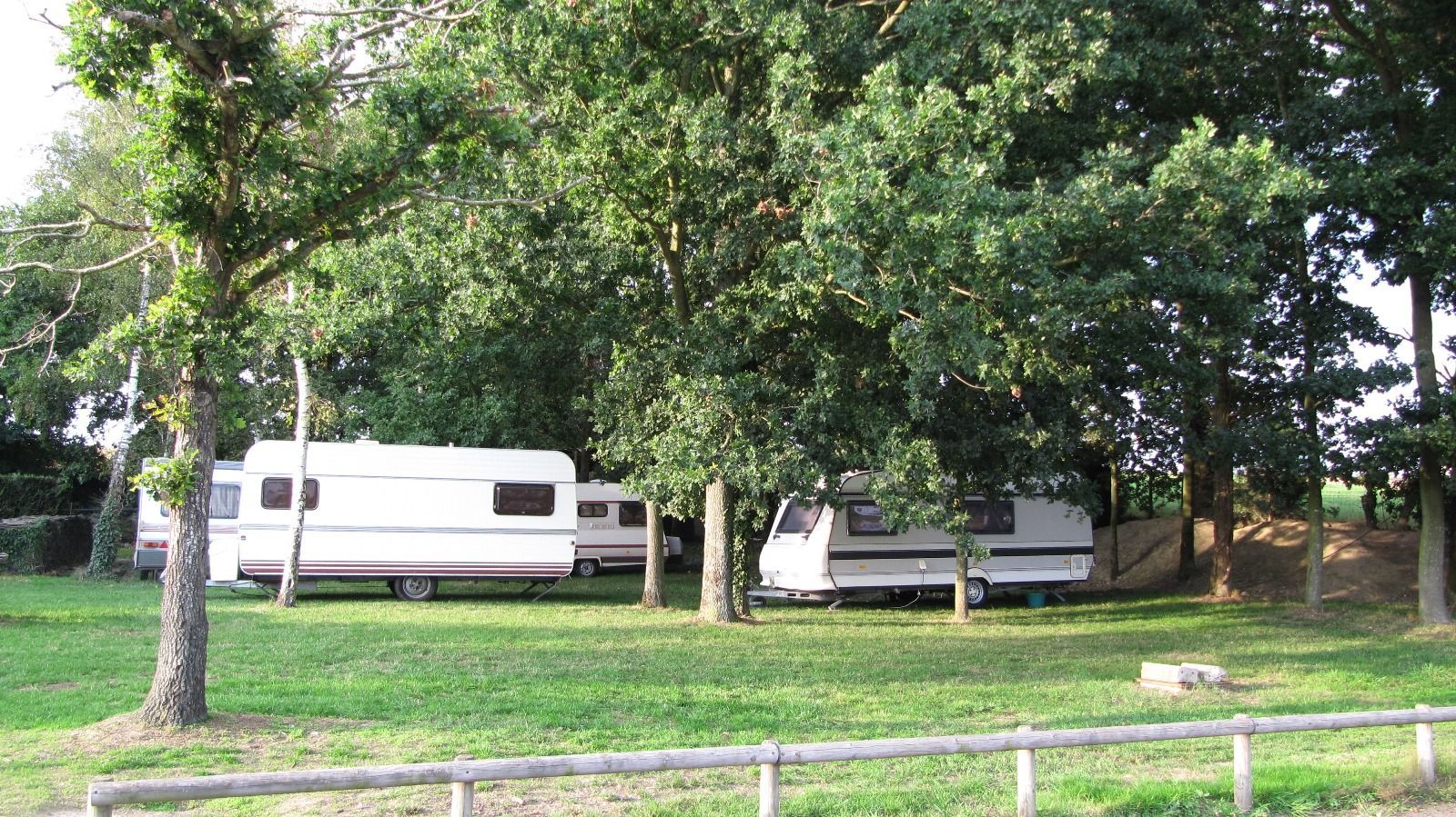 Deux camping-cars blancs garés sous des arbres feuillus, au bord d'une route herbeuse.