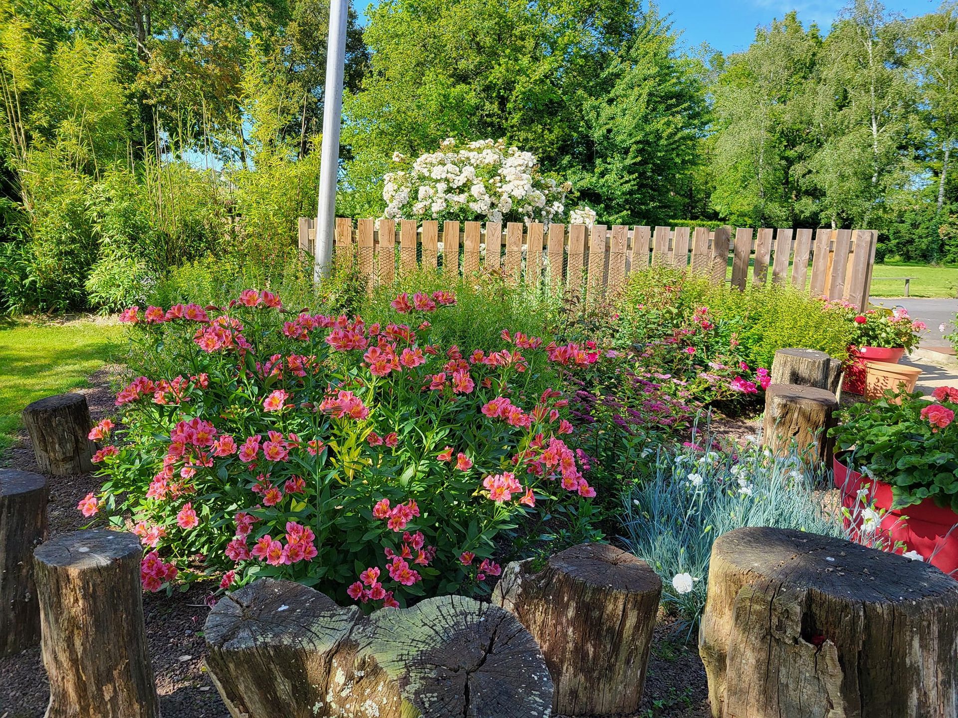 Bassin de jardin avec fleurs roses, bordure en pierre et clôture en bois en arrière-plan