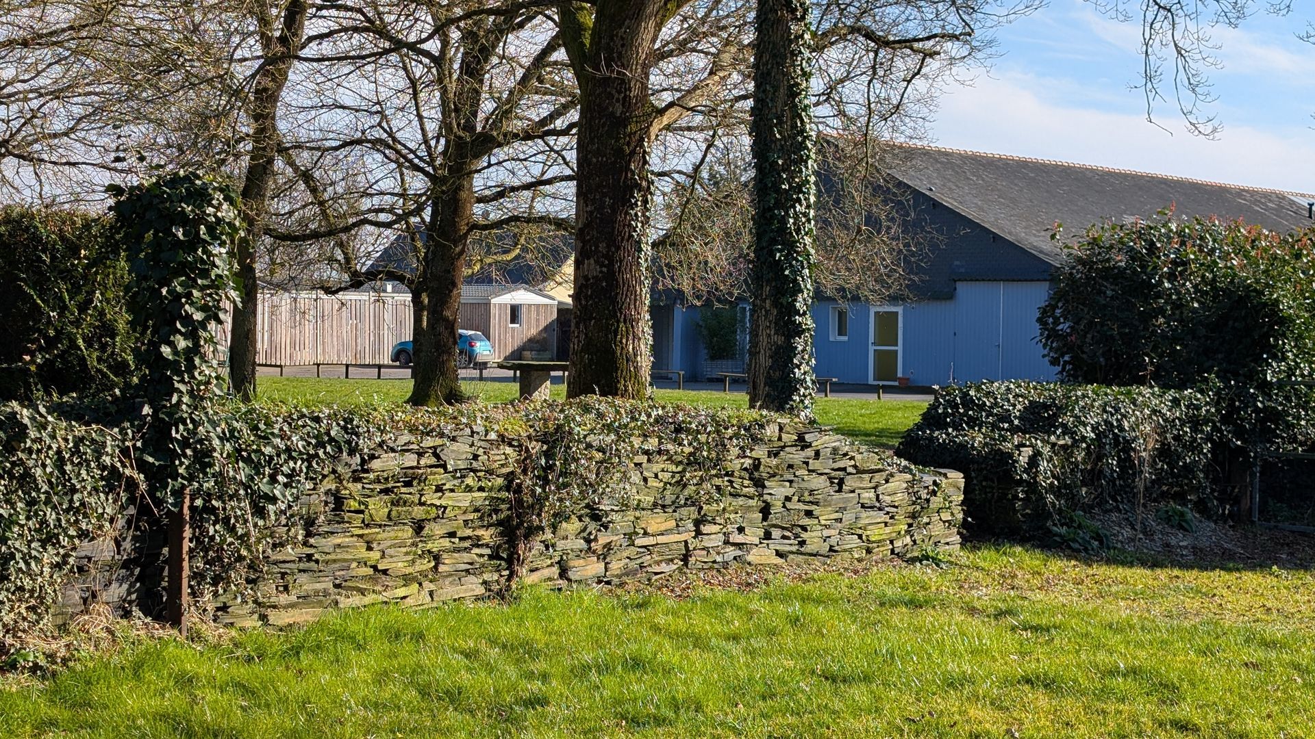 Un mur de pierre dans une cour herbeuse avec des arbres dénudés et une maison bleue en arrière-plan.